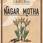 Nagar Motha BIO-500x717