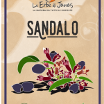 SANDALO-500x717